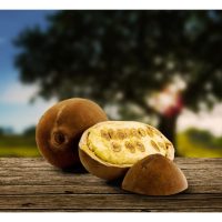 Apa Itu Buah Cupuaçu? Boleh Gantikan Coklat? Bagaimana Menanamnya Di Malaysia ?