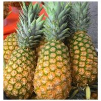 Lepas Raja Buah, Kini Tiba Giliran Si “Raja Kecil” — Kenapa Nanas MD2 Patut Jadi Taruhan Baru?