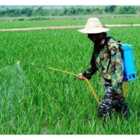 Kesan Racun Serangga Bio Tidak Sepantas Racun Kimia, Tapi Lebih Mesra Alam — Bagaimana Potensinya di Malaysia?