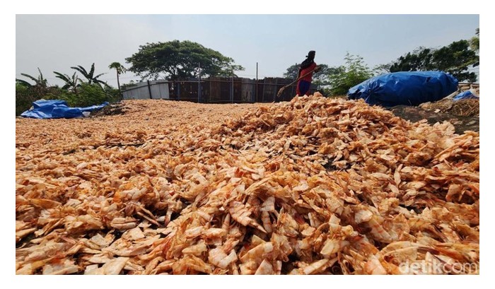 Read more about the article Potensi Ekonomi Baja Kalsium Berasaskan Kulit Udang Kara 