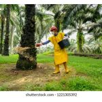 Penggunaan Baja Organik Bio di Malaysia: Tanaman Manakah Paling Sesuai?