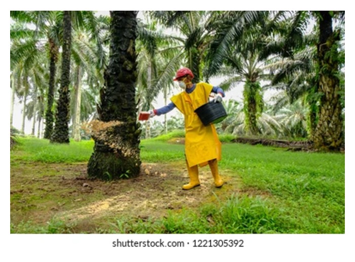 You are currently viewing Penggunaan Baja Organik Bio di Malaysia: Tanaman Manakah Paling Sesuai?