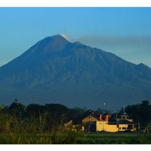 Perlukah Indonesia Membangunkan Jenama “Durian Gunung Berapi”?