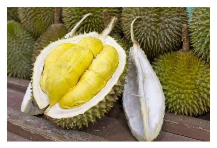 You are currently viewing Potensi Besar Penjenamaan Durian Gunung Berapi Di Indonesia