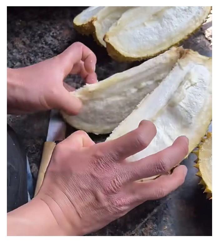 You are currently viewing Mengapa Buah Durian Langsung Tidak Mempunyai Isi?