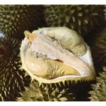 Bolehkan kesan negatif dari cuaca mendung dan suram terhadap pengeluaran hasil durian diperbaiki dengan program pembajaan?
