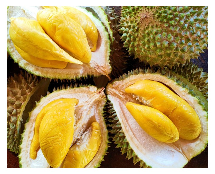 You are currently viewing Durian merupakan makanan eksotik dan bukan makanan ruji yang wajib diambil oleh kita setiap hari. Adakah ini satu risiko tersembunyi terhadap pasaran durian?