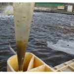 Teknik ‘Biofloc’ iaitu mikrob bermanfaat dalam air, semakin popular di sektor akuakultur. “Biofloc”ini biasanya digunakan ke atas apa ternakan? Bagaimana ia bertindak?