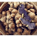 Buat kiraan kos pemprosesan halia hitam segar (Kaempferia parviflora)100kg kepada serbuk,kapsul dan ekstrak intipati. Juga buat kiraan kos dan pulangan bagi pemprosesan halia hitam segar 100kg menjadi kapsul sebagai produk bernilai tinggi