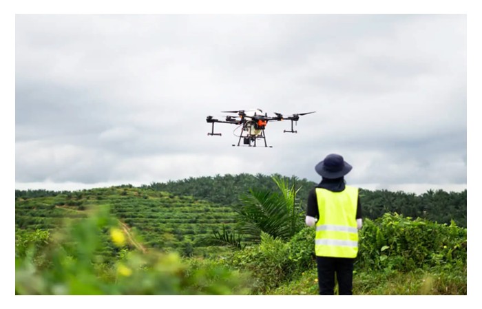 You are currently viewing Apakah cabaran yang akan dihadapi oleh pekebun kecil sawit di era digital dan automasi terkini? 