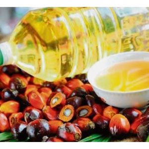 Senario tahun kebelakangan ini menunjukkan sawit adalah tanaman mantap dalam ekonomi negara kerana hasil dan harga globalnya agak stabil