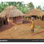 Daun sawit digunakan oleh orang Uganda dan negara sekitarnya sebagai briket iaitu bahan api untuk dapur. Adakah amalan ini mampan?