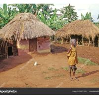 Daun sawit digunakan oleh orang Uganda dan negara sekitarnya sebagai briket iaitu bahan api untuk dapur. Adakah amalan ini mampan?