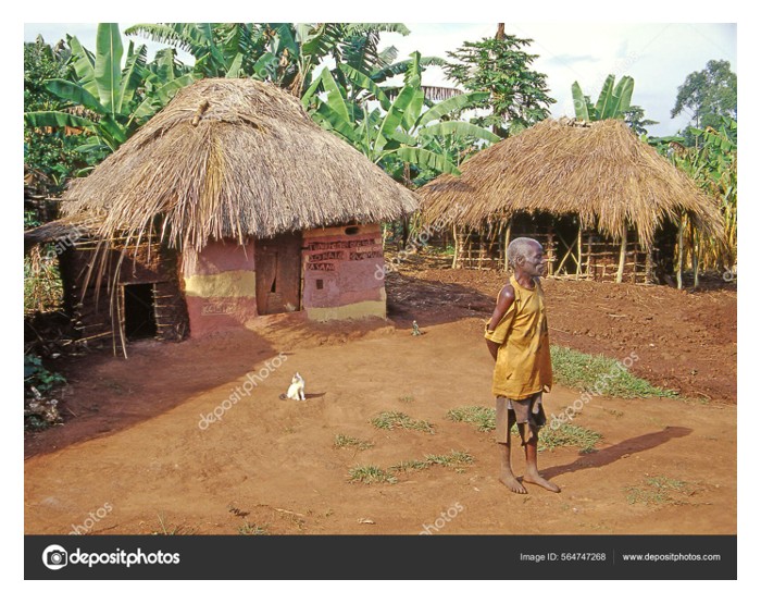 You are currently viewing Daun sawit digunakan oleh orang Uganda dan negara sekitarnya sebagai briket iaitu bahan api untuk dapur. Adakah amalan ini mampan?