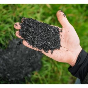 Biochar atau sisa sawit lebih baik untuk menjamin kelestarian kebun ?