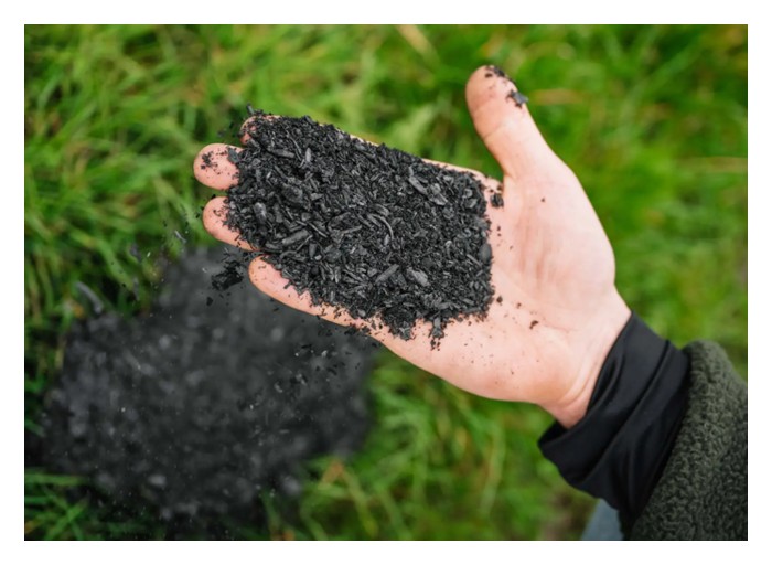 You are currently viewing Biochar atau sisa sawit lebih baik untuk menjamin kelestarian kebun ?