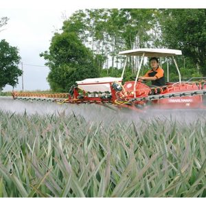 Di Malaysia, bolehkah ladang nanas diurus secara mekanisasi termasuk menyemai anak benih, mengaruh bunga dan kutipan hasil?