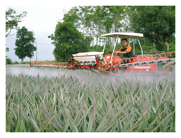 You are currently viewing Di Malaysia, bolehkah ladang nanas diurus secara mekanisasi termasuk menyemai anak benih, mengaruh bunga dan kutipan hasil?