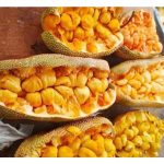 Adakah aroma kuat dari cempedak adalah hasil rangsangan unsur sulfat dalam baja?