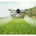 Menabur biji benih, menyembur racun pertanian hingga melepas serangga bermanfaat : Peranan dron semakin penting di dunia pertanian moden?