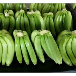 Petani digalakkan menanam pisang Cavendish atau nanas MD2 untuk pasaran eksport demi meraih harga eksport yang lebih berbaloi?