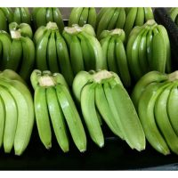 Petani digalakkan menanam pisang Cavendish atau nanas MD2 untuk pasaran eksport demi meraih harga eksport yang lebih berbaloi?