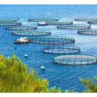 Konsep Ekonomi Biru (Blue Economy) menekankan sistem sumber apa untuk pembangunan mampan di sektor akuakultur termasuk tangkapan ikan dan udang?