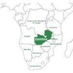 Bermula tahun 2020, mana satu negara di Afrika yang paling cepat berkembang di sektor akuakultur?