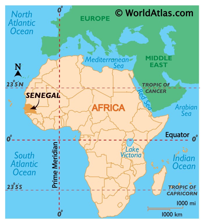You are currently viewing MPOB pernah memperolehi germplasma sawit dari negara Senegal (sebuah negara di Afrika Barat). Apa kelebihan germplasma tersebut dari segi pengeluaran hasil dan kualiti buah tandannya?
