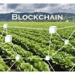Apa itu ‘blockchain untuk pengesanan rantaian bekalan buah tropika’?