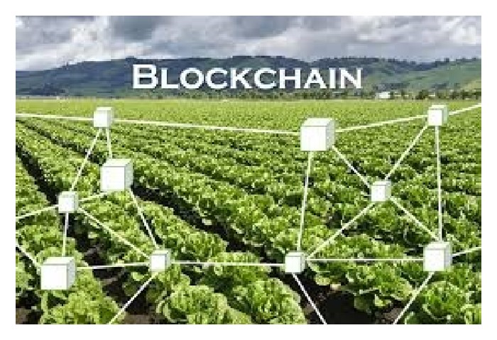 You are currently viewing Apa itu ‘blockchain untuk pengesanan rantaian bekalan buah tropika’?