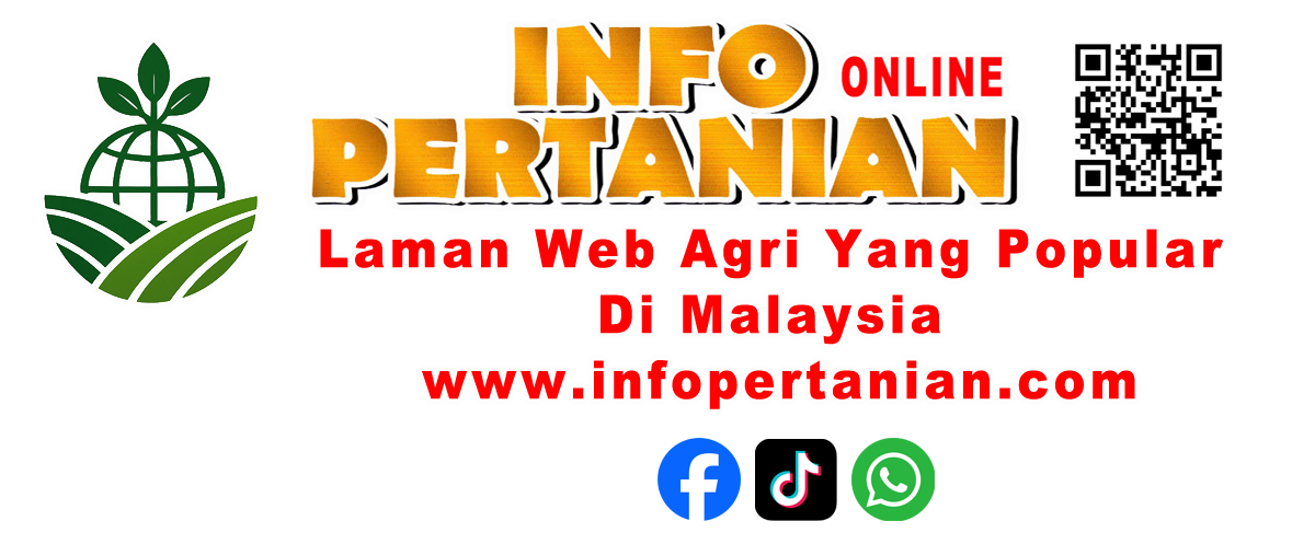 INFO PERTANIAN online