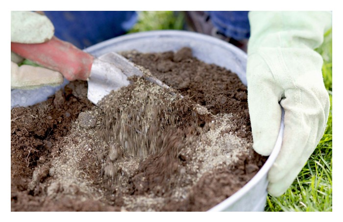 Read more about the article Bolehkah baja kimia dan baja organik digunakan serentak?