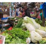 Petani sayuran tempatan tidak dapat bersaing dengan sayuran import dari China, Vietnam dan Thailand kerana harga mereka lebih murah. Apakah penyelesaian supaya kepentingan petani tempatan dilindungi?