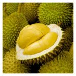 Pekebun durian D24 bersyukur kerana pokok umumnya sudah dewasa serta mengamalkan pekebunan dusun justeru menjimat kos input berbanding Musang King yang perlu pembajaan rapi di samping harga pasarannya semakin ‘mampu milik’?