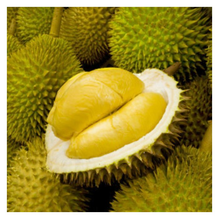 Read more about the article Pekebun durian D24 bersyukur kerana pokok umumnya sudah dewasa serta mengamalkan pekebunan dusun justeru menjimat kos input berbanding Musang King yang perlu pembajaan rapi di samping harga pasarannya semakin ‘mampu milik’?
