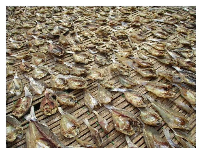 You are currently viewing Is the Salty Fish Industry Still Profitable Today?