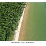 Tanah pesisir pantai umumnya lebih subur daripada tanah pedalaman justeru hasil sawitnya lebih tinggi?