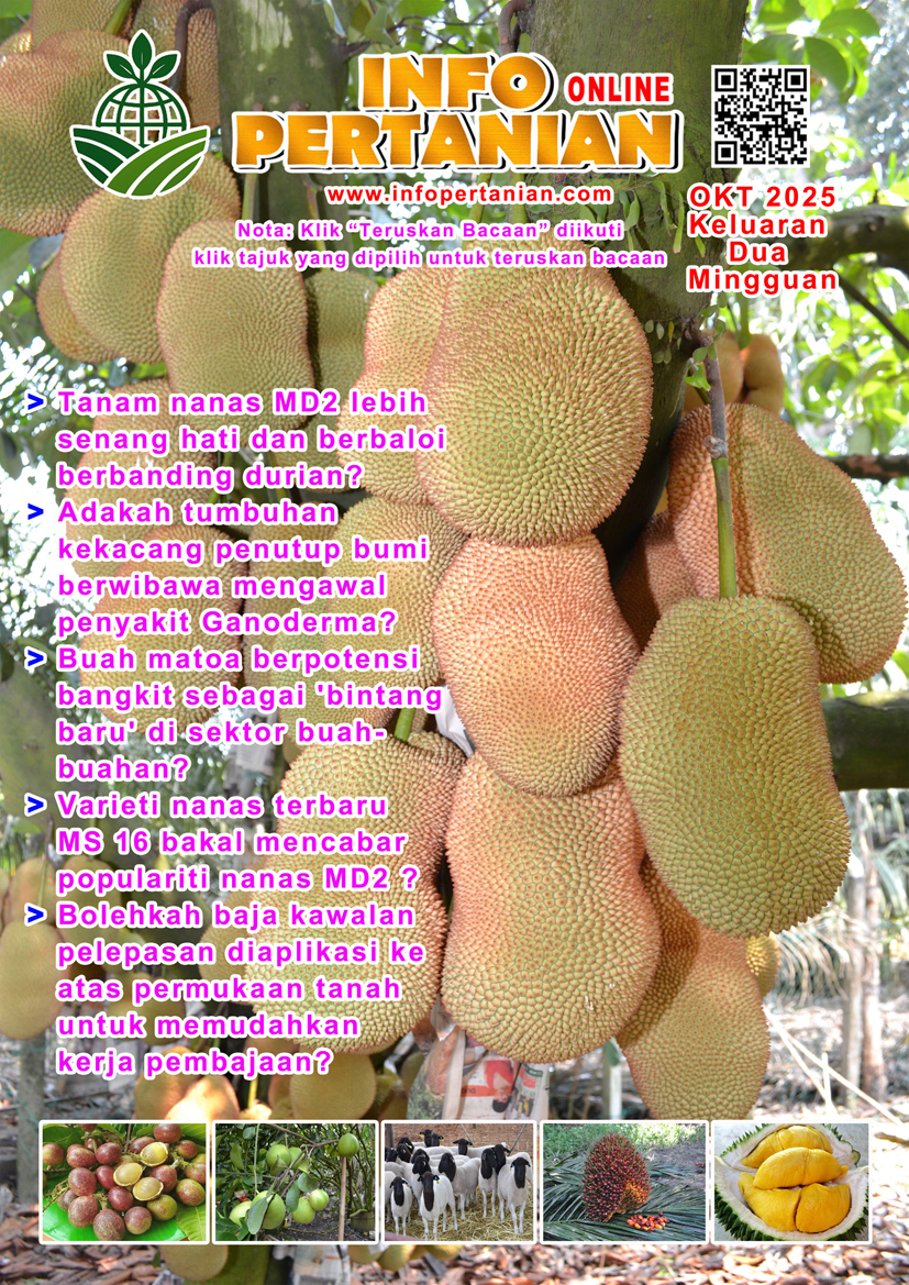 You are currently viewing OKT 2025 KELUARAN DUA MINGGUAN