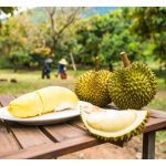 Bagaimana Thailand berjaya memupuk agro pelancongan durian di negaranya?