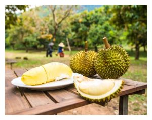 Bagaimana Thailand berjaya memupuk agro pelancongan durian di negaranya?