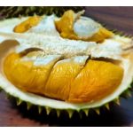How true to say the taste of durian fruits could be enhanced by cross pollination, meaning planting different clones in same area?