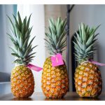 High planting density of MD2 pineapple tends to get smaller fruits which are not suitable for export markets?