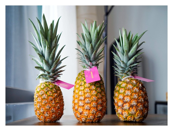 You are currently viewing High planting density of MD2 pineapple tends to get smaller fruits which are not suitable for export markets?