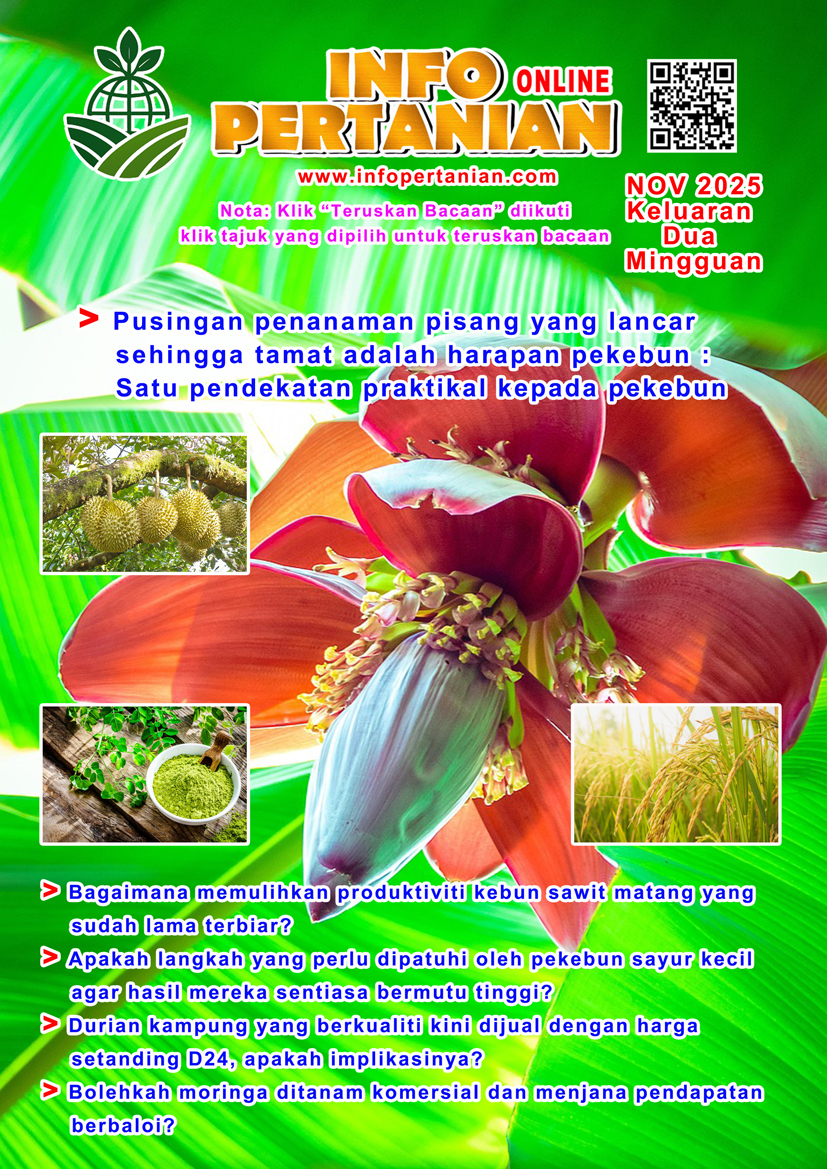 You are currently viewing NOV 2025 KELUARAN DUA MINGGUAN