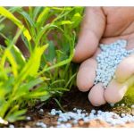 Baja kelaan dihasilkan untuk memanfaatkan petani yang tahu menggunakannya, apa kelebihan baja ini?