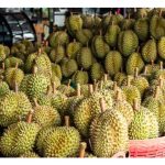 Demi mengelak dari lambakan hasil durian di pasaran pada masa hadapan, pekebun disarankan supaya menghasilkan lebih banyak buah gred A dan mengurangkan buah BCD sambil menjimat kos operssi ladang