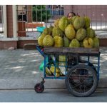 Kenapa cita rasa asli durian Musang King Malaysia sukar ditiru oleh negara Thailand, Vietnam, Laos dan Hainan?
