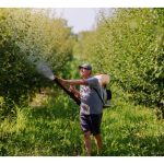 Any scientific proof to support foliar as an efficient means of absorbing nutrients from foliar spray?