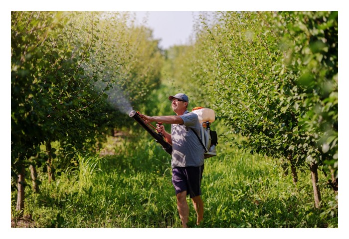 You are currently viewing Any scientific proof to support foliar as an efficient means of absorbing nutrients from foliar spray?